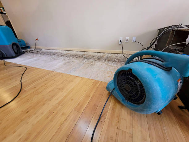 Professional Emergency Water Damage technician working in Dennison, OH